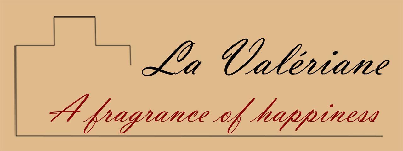 "La Valeriane" Apartment Grasse Luaran gambar